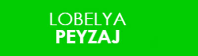 Güzel